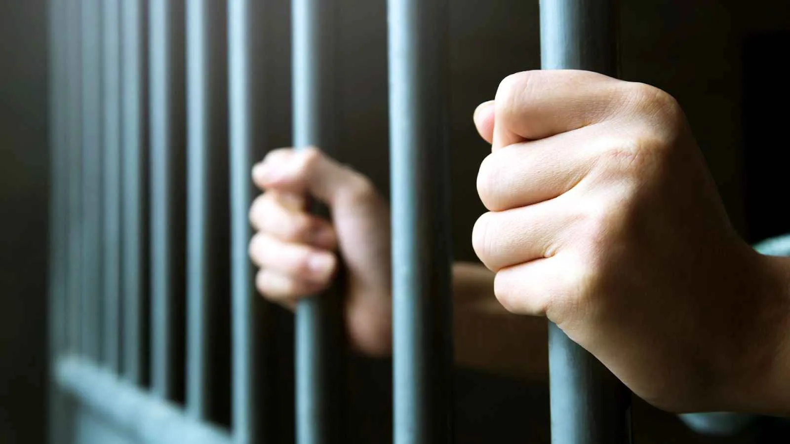 670951036dc4aa3f6b88ba56_criminal (1) (1)