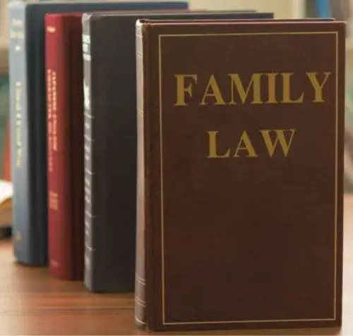 670951036dc4aa3f6b88ba7a_Family Law Books (1)