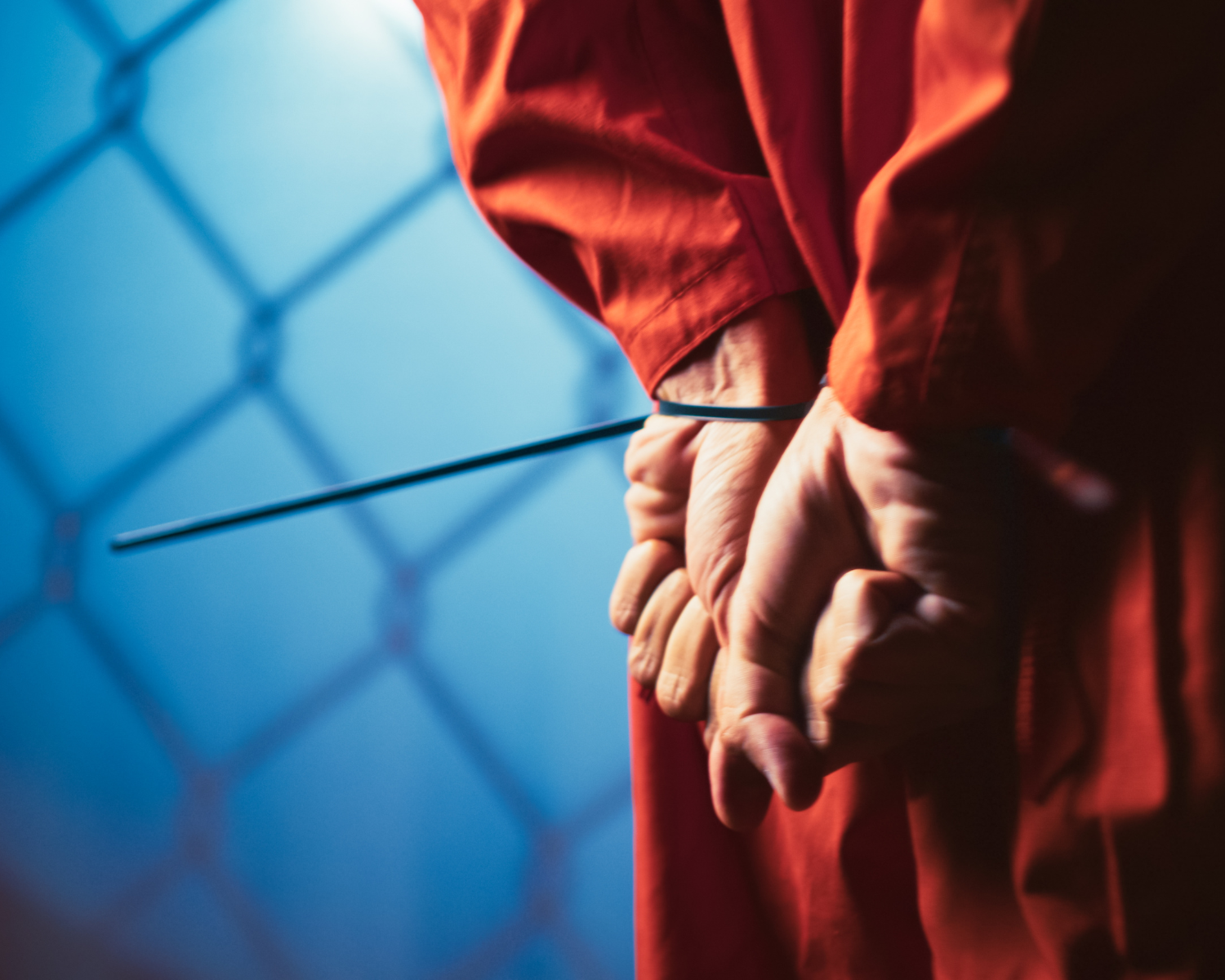 Louisiana Felony Lawyer 1 (2)