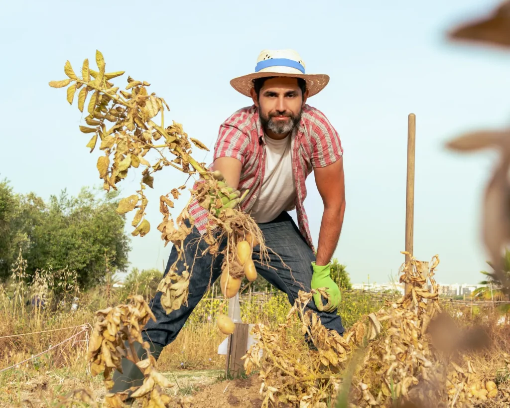 H-2A Agricultural Worker 1