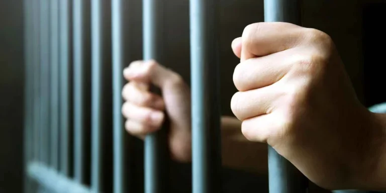 670951036dc4aa3f6b88ba56_criminal (1) (1)